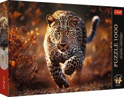 Cover Photo Odyssey: Wild Leopard