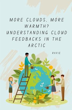 More Clouds, More Warmth? Understanding Cloud Feedbacks in the Arctic - Ravie