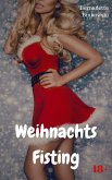 Weihnachtsfisting (eBook, ePUB)