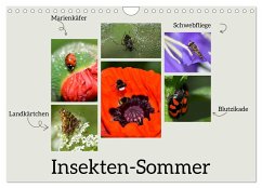 Insekten-Sommer (Wandkalender 2025 DIN A4 quer), CALVENDO Monatskalender