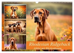 Rhodesian Ridgeback - Athlet mit Rückenkamm (Wandkalender 2025 DIN A3 quer), CALVENDO Monatskalender