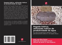 Pegada hídrica, utilizando índices de produtividade da água - Ríos Flores, José Luis;Armendáriz Erives, Sigifredo;Ruiz-Esparza, Manuel de Jesus A.