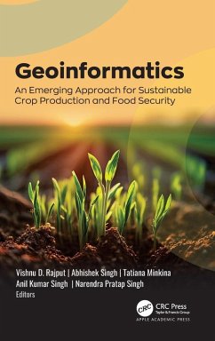 Cover Geoinformatics