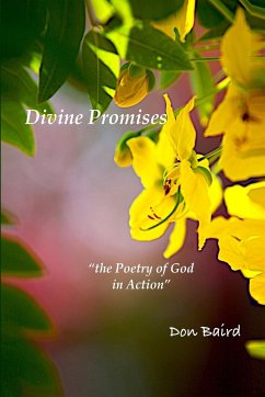 Divine Promises - Baird, Don