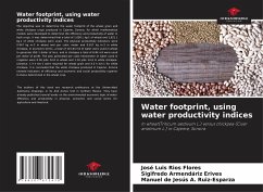 Water footprint, using water productivity indices - Ríos Flores, José Luis;Armendáriz Erives, Sigifredo;Ruiz-Esparza, Manuel de Jesus A.