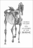 The Anatomy of the Horse The Anatomy of the Horse
