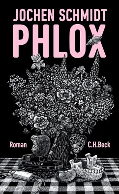 Phlox  - Schmidt, Jochen