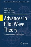 Advances in Pilot Wave Theory (eBook, PDF)