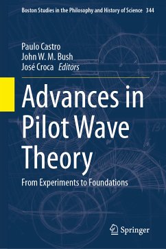 Advances in Pilot Wave Theory (eBook, PDF)