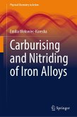 Carburising and Nitriding of Iron Alloys (eBook, PDF)
