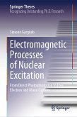 Electromagnetic Processes of Nuclear Excitation (eBook, PDF)