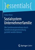 Sozialsystem Unternehmerfamilie (eBook, PDF)