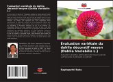 Évaluation variétale du dahlia décoratif moyen (Dahlia Variabilis L.)