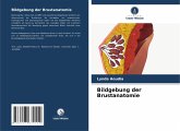 Bildgebung der Brustanatomie