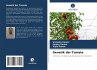 Genetik der Tomate - Bild 1