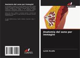 Anatomia del seno per immagini