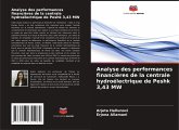 Analyse des performances financières de la centrale hydroélectrique de Peshk 3,43 MW