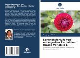 Sortenbewertung von mittelgroßen Zierdahlien (Dahlia Variabilis L.)