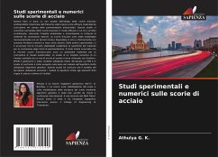 Studi sperimentali e numerici sulle scorie di acciaio - G. K., Athulya