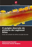 O pulgão dourado do pistácio de Laghouat Atlas