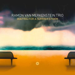 Waiting For A Summer Storm - Ramon Van Merkenstein Trio