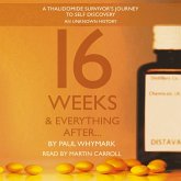 16 Weeks and Everything After... (MP3-Download)