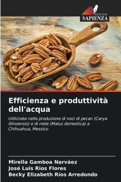 Efficienza e produttività dell'acqua - Gamboa Narváez, Mirella;Ríos Flores, José Luis;Ríos Arredondo, Becky Elizabeth