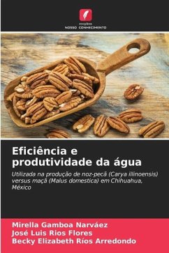 Eficiência e produtividade da água - Gamboa Narváez, Mirella;Ríos Flores, José Luis;Ríos Arredondo, Becky Elizabeth