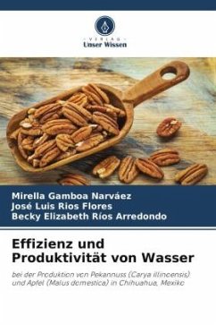 Effizienz und Produktivität von Wasser - Gamboa Narváez, Mirella;Ríos Flores, José Luis;Ríos Arredondo, Becky Elizabeth