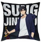 Kissen - Solo Leveling - Motiv 1