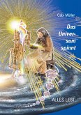 Das Universum spinnt (eBook, ePUB)