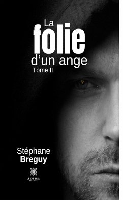 La folie d’un ange - Tome 2 (eBook, ePUB) - Breguy, Stéphane