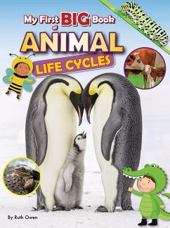 Cover My First Big Book of Animal Life Cycles