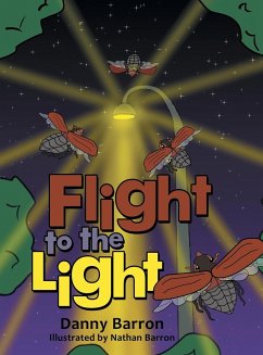 Flight to the Light - Barron, Danny