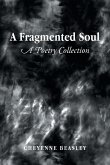 A Fragmented Soul