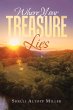 Where Your Treasure Lies - Bild 1