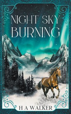 Cover Night Sky Burning
