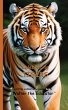 Celebrating Tigers - Bild 1