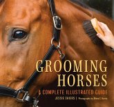 Grooming Horses Grooming Horses