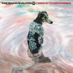 Coming Up To Consciousness - Pure Reason Revolution