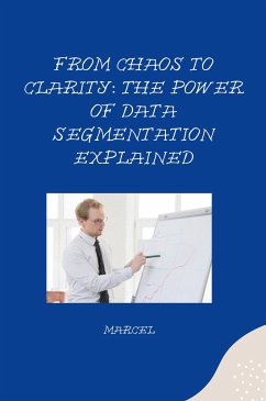 From Chaos to Clarity: The Power of Data Segmentation Explained - Marcel