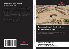 Conservation of the Uyo Uyo archaeological site - Pari Flores, Rómulo E.;Casali Turpo, Janet R.;Duche Pérez, Aleixandre B.