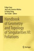 Handbook of Geometry and Topology of Singularities VI: Foliations (eBook, PDF)