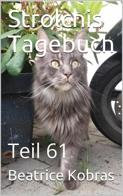 Strolchis Tagebuch - Teil 61 (eBook, ePUB) - Kobras, Beatrice