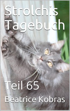 Strolchis Tagebuch - Teil 65 (eBook, ePUB) - Kobras, Beatrice