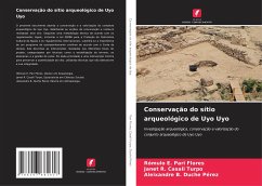 Conservação do sítio arqueológico de Uyo Uyo - Pari Flores, Rómulo E.;Casali Turpo, Janet R.;Duche Pérez, Aleixandre B.