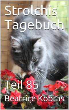 Strolchis Tagebuch - Teil 85 (eBook, ePUB) - Kobras, Beatrice