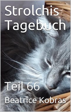 Strolchis Tagebuch - Teil 66 (eBook, ePUB) - Kobras, Beatrice