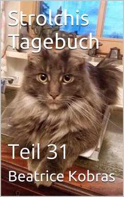 Strolchis Tagebuch - Teil 31 (eBook, ePUB) - Kobras, Beatrice