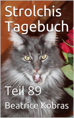 Strolchis Tagebuch - Teil 89 (eBook, ePUB) - Kobras, Beatrice